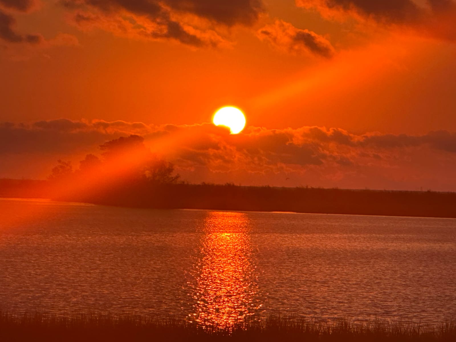 Sunrise over still water with a dark tree line, the sun low in an amber sky